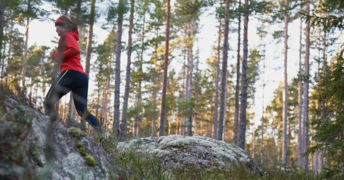 Joka neljäs työntekijä kokee, ettei työnantaja tue liikkumista millään  tavalla | Työterveyslaitos