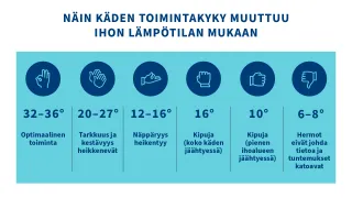 Infografiikkaa: Näin käden toimintakyky muuttuu ihon lämpötilan mukaan: 32–36° Optimaalinen toiminta, 20–27° Tarkkuus jakestävyys heikkenevät, 12–16° Näppäryys heikentyy, 16° Kipuja (koko käden jäähtyessä), 10° Kipuja (pienen ihoalueen jäähtyessä), 6–8° Hermot eivät johda tietoa ja tuntemukset katoavat.